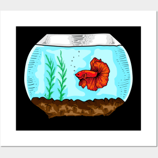 Betta Fish Aquarium Aquarist Posters and Art